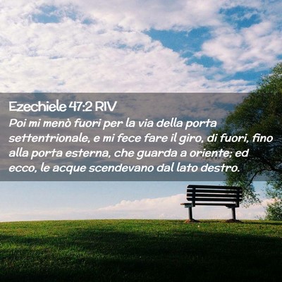 Picture 02 - Ezechiele 47:2 RIV - Poi mi menò fuori per la via della porta - Bible Verse Picture