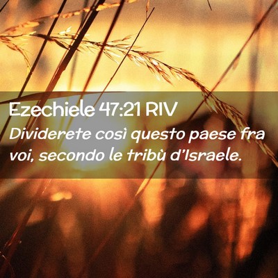 Picture 02 - Ezechiele 47:21 RIV - Dividerete così questo paese fra voi, secondo le - Bible Verse Picture
