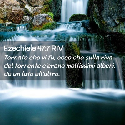 Picture 02 - Ezechiele 47:7 RIV - Tornato che vi fu, ecco che sulla riva del - Bible Verse Picture