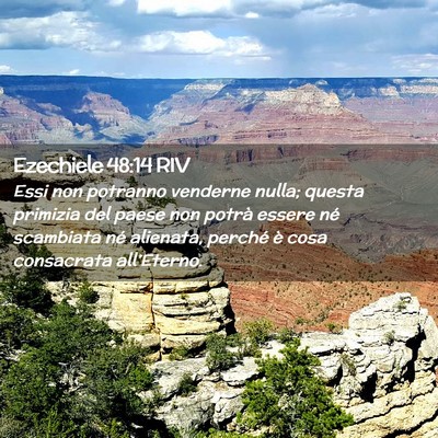 Picture 02 - Ezechiele 48:14 RIV - Essi non potranno venderne nulla; questa primizia - Bible Verse Picture