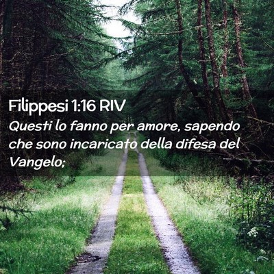 Picture 02 - Filippesi 1:16 RIV - Questi lo fanno per amore, sapendo che sono - Bible Verse Picture