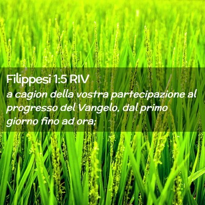 Picture 02 - Filippesi 1:5 RIV - a cagion della vostra partecipazione al progresso - Bible Verse Picture