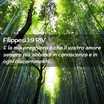 Picture 02 - Filippesi 1:9 RIV - E la mia preghiera è che il vostro amore sempre - Bible Verse Picture