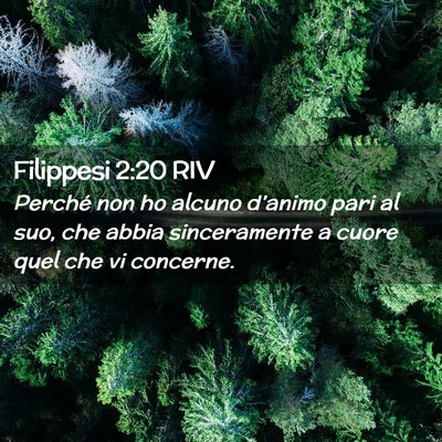 Picture 02 - Filippesi 2:20 RIV - Perché non ho alcuno d’animo pari al suo, che - Bible Verse Picture