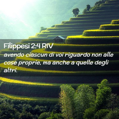Picture 02 - Filippesi 2:4 RIV - avendo ciascun di voi riguardo non alle cose - Bible Verse Picture