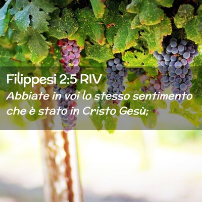 Picture 02 - Filippesi 2:5 RIV - Abbiate in voi lo stesso sentimento che è stato - Bible Verse Picture