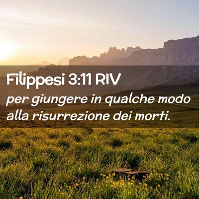 Picture 02 - Filippesi 3:11 RIV - per giungere in qualche modo alla risurrezione - Bible Verse Picture