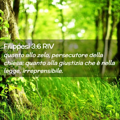 Picture 02 - Filippesi 3:6 RIV - quanto allo zelo, persecutore della chiesa; - Bible Verse Picture