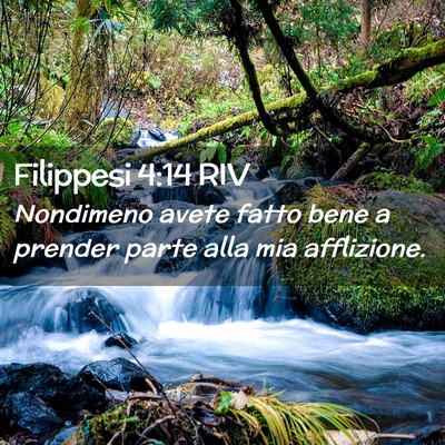 Picture 02 - Filippesi 4:14 RIV - Nondimeno avete fatto bene a prender parte alla - Bible Verse Picture