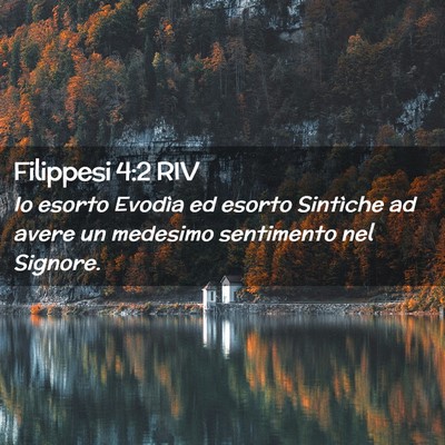 Picture 02 - Filippesi 4:2 RIV - Io esorto Evodìa ed esorto Sintìche ad avere un - Bible Verse Picture
