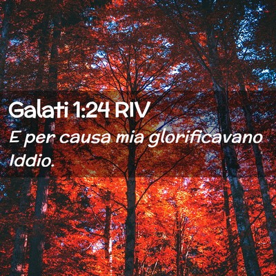 Picture 02 - Galati 1:24 RIV - E per causa mia glorificavano - Bible Verse Picture