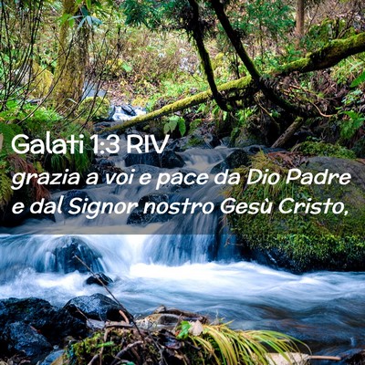 Picture 02 - Galati 1:3 RIV - grazia a voi e pace da Dio Padre e dal Signor - Bible Verse Picture