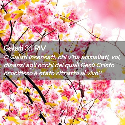 Picture 02 - Galati 3:1 RIV - O Galati insensati, chi v’ha ammaliati, voi, - Bible Verse Picture