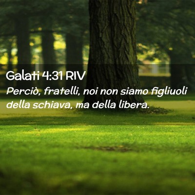 Picture 02 - Galati 4:31 RIV - Perciò, fratelli, noi non siamo figliuoli della - Bible Verse Picture