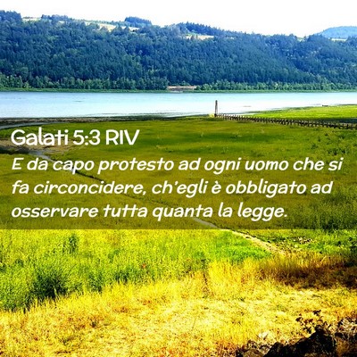 Picture 02 - Galati 5:3 RIV - E da capo protesto ad ogni uomo che si fa - Bible Verse Picture