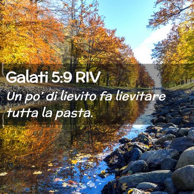 Picture 02 - Galati 5:9 RIV - Un po’ di lievito fa lievitare tutta la - Bible Verse Picture