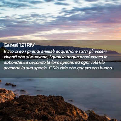 Picture 02 - Genesi 1:21 RIV - E Dio creò i grandi animali acquatici e tutti - Bible Verse Picture
