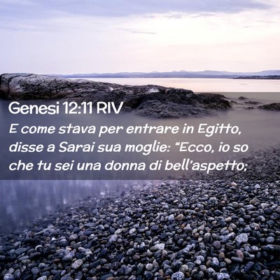 Picture 02 - Genesi 12:11 RIV - E come stava per entrare in Egitto, disse a Sarai - Bible Verse Picture