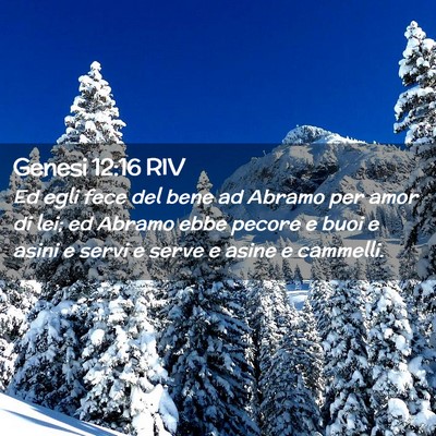 Picture 02 - Genesi 12:16 RIV - Ed egli fece del bene ad Abramo per amor di lei; - Bible Verse Picture