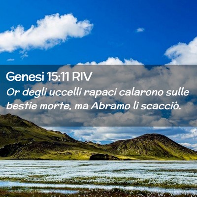 Picture 02 - Genesi 15:11 RIV - Or degli uccelli rapaci calarono sulle bestie - Bible Verse Picture