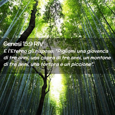 Picture 02 - Genesi 15:9 RIV - E l’Eterno gli rispose: “Pigliami una - Bible Verse Picture