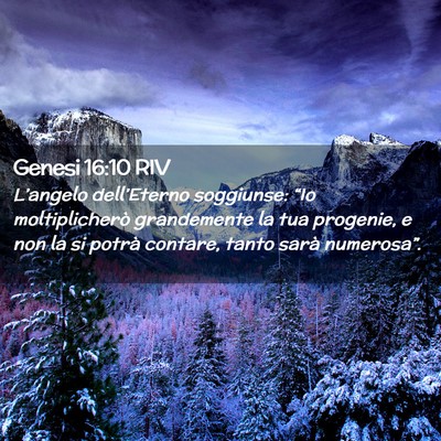 Picture 02 - Genesi 16:10 RIV - L’angelo dell’Eterno soggiunse: “Io - Bible Verse Picture