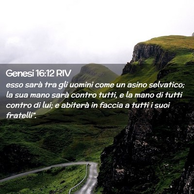 Picture 02 - Genesi 16:12 RIV - esso sarà tra gli uomini come un asino - Bible Verse Picture