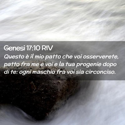 Picture 02 - Genesi 17:10 RIV - Questo è il mio patto che voi osserverete, patto - Bible Verse Picture