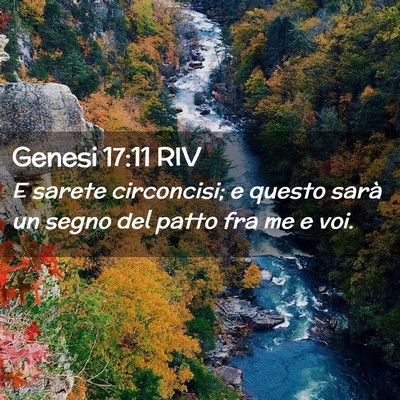 Picture 02 - Genesi 17:11 RIV - E sarete circoncisi; e questo sarà un segno del - Bible Verse Picture
