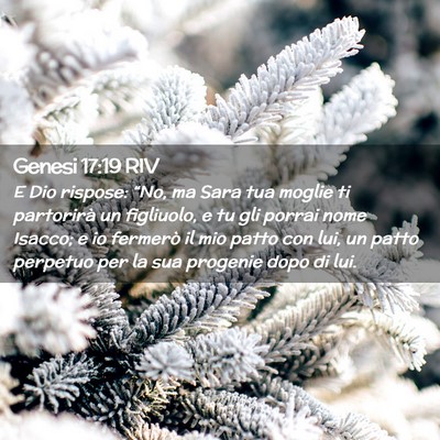 Picture 02 - Genesi 17:19 RIV - E Dio rispose: “No, ma Sara tua moglie ti - Bible Verse Picture