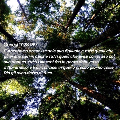 Picture 02 - Genesi 17:23 RIV - E Abrahamo prese Ismaele suo figliuolo e tutti - Bible Verse Picture