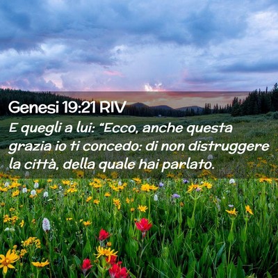 Picture 02 - Genesi 19:21 RIV - E quegli a lui: “Ecco, anche questa grazia io - Bible Verse Picture
