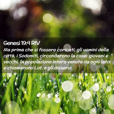 Picture 02 - Genesi 19:4 RIV - Ma prima che si fossero coricati, gli uomini - Bible Verse Picture
