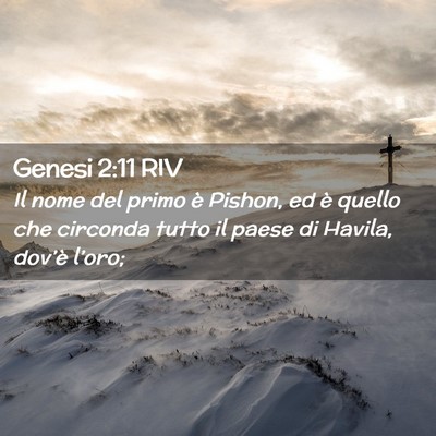 Picture 02 - Genesi 2:11 RIV - Il nome del primo è Pishon, ed è quello che - Bible Verse Picture