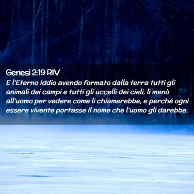 Picture 02 - Genesi 2:19 RIV - E l’Eterno Iddio avendo formato dalla terra - Bible Verse Picture