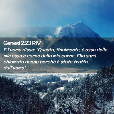 Picture 02 - Genesi 2:23 RIV - E l’uomo disse: “Questa, finalmente, è ossa - Bible Verse Picture