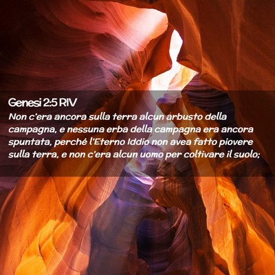 Picture 02 - Genesi 2:5 RIV - Non c’era ancora sulla terra alcun arbusto - Bible Verse Picture