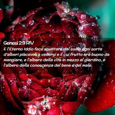 Picture 02 - Genesi 2:9 RIV - E l’Eterno Iddio fece spuntare dal suolo ogni - Bible Verse Picture