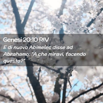 Picture 02 - Genesi 20:10 RIV - E di nuovo Abimelec disse ad Abrahamo: “A che - Bible Verse Picture