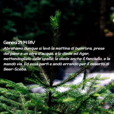 Picture 02 - Genesi 21:14 RIV - Abrahamo dunque si levò la mattina di - Bible Verse Picture