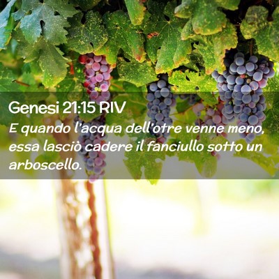 Picture 02 - Genesi 21:15 RIV - E quando l’acqua dell’otre venne meno, essa - Bible Verse Picture