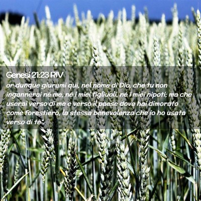 Picture 02 - Genesi 21:23 RIV - or dunque giurami qui, nel nome di Dio, che tu - Bible Verse Picture
