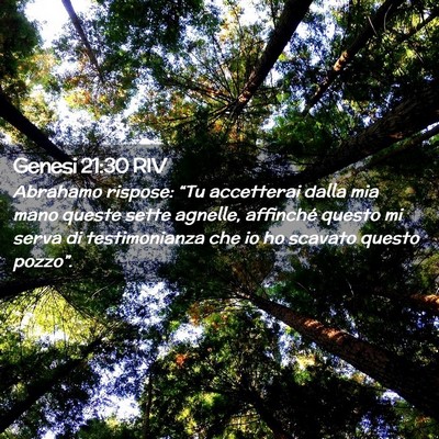Picture 02 - Genesi 21:30 RIV - Abrahamo rispose: “Tu accetterai dalla mia mano - Bible Verse Picture
