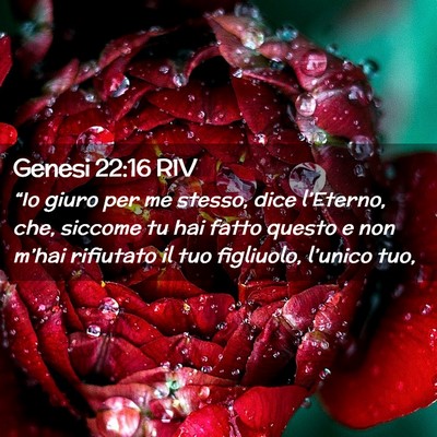 Picture 02 - Genesi 22:16 RIV - “Io giuro per me stesso, dice l’Eterno, che, - Bible Verse Picture