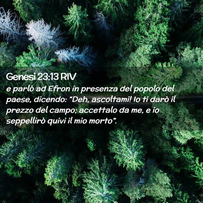 Picture 02 - Genesi 23:13 RIV - e parlò ad Efron in presenza del popolo del - Bible Verse Picture