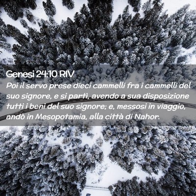 Picture 02 - Genesi 24:10 RIV - Poi il servo prese dieci cammelli fra i cammelli - Bible Verse Picture