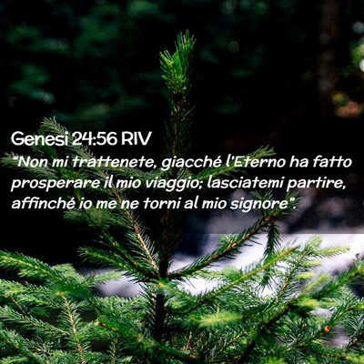 Picture 02 - Genesi 24:56 RIV - “Non mi trattenete, giacché l’Eterno ha - Bible Verse Picture