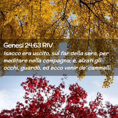 Picture 02 - Genesi 24:63 RIV - Isacco era uscito, sul far della sera, per - Bible Verse Picture