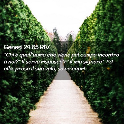 Picture 02 - Genesi 24:65 RIV - “Chi è quell’uomo che viene pel campo - Bible Verse Picture