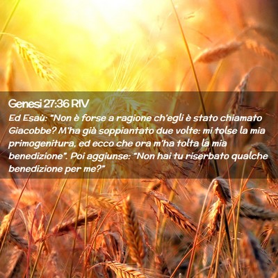 Picture 02 - Genesi 27:36 RIV - Ed Esaù: “Non è forse a ragione ch’egli è - Bible Verse Picture